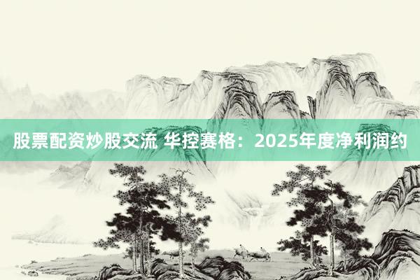 股票配资炒股交流 华控赛格：2025年度净利润约